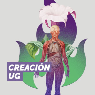 Creación UG