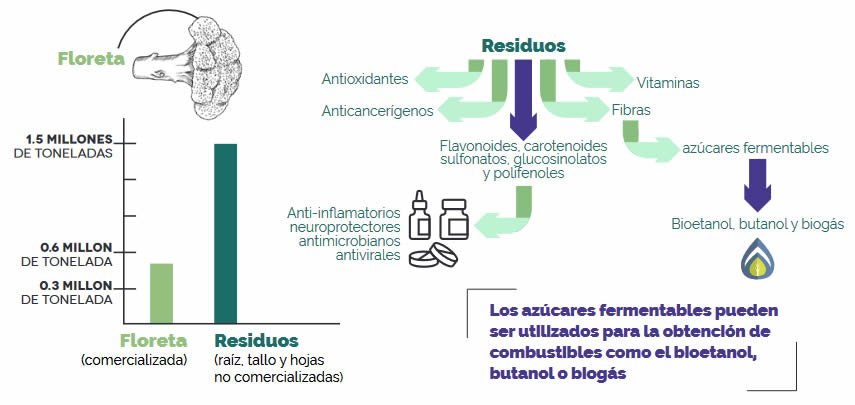 4 residuos brocoli