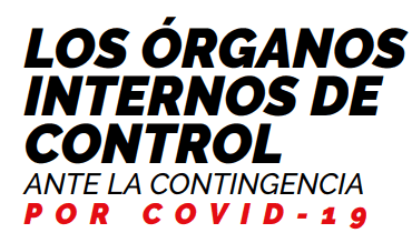 los organos internos de control