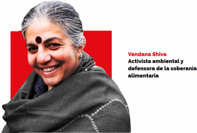 vandana