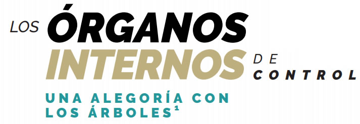 los organos internos de control