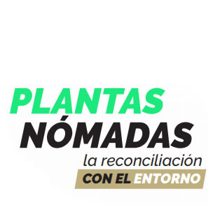 ilustracion1