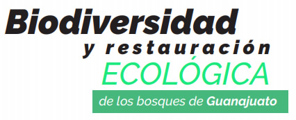 titulo