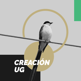 Creación UG