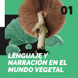 Mundo vegetal