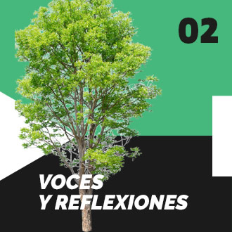 Voces y reflexiones